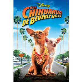 una-chihuahua-en-beverly-hills-reacondicionado