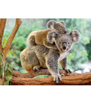 puzzle-amor-de-koala-200-pz