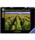 puzzle-campo-de-girasoles-1000-pz