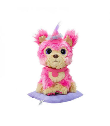 adoptanimals-centro-de-cuidados-surtido