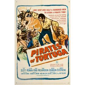 el-pirata-de-la-isla-tortuga-dvd