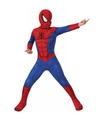 Disfraz Spiderman Classic Inf M