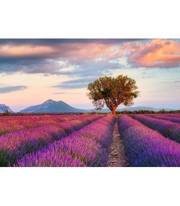 puzzle-campos-de-lavanda-1000-piezas