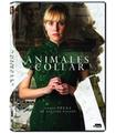 Animales Sin Collar - Reacondicionado