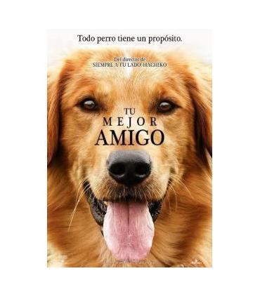 tu-mejor-amigo-reacondicionado