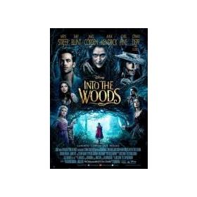 into-the-woods-dvd-reacondicionado
