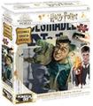 Puzzle Para Rascar Harry Potter Wanted
