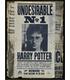puzzle-para-rascar-harry-potter-wanted