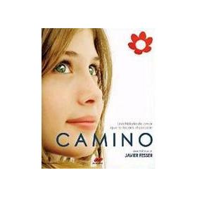 camino-2008-dvd-reacondicionado
