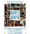 DOLOR Y GLORIA - DVD - Reacondicionado