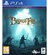 the-bards-tale-iv-directors-cut-ps4-reacondicionado
