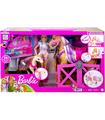 Barbie Con Caballo Y Poni