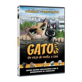 gatos-dvd-reacondicionado