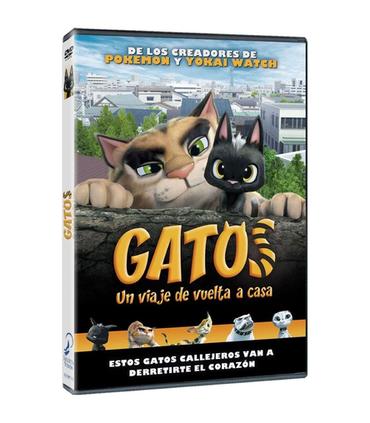 gatos-dvd-reacondicionado