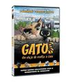 Gatos (DVD) -Reacondicionado