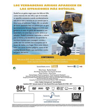 gatos-dvd-reacondicionado