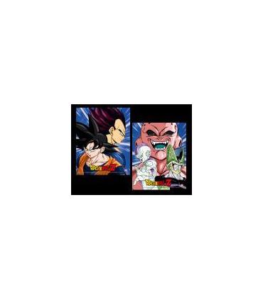cuadro-3d-dragon-ball-z-protectors-destroyers