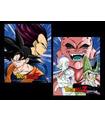 CUADRO 3D DRAGON BALL Z PROTECTORS & DESTROYERS