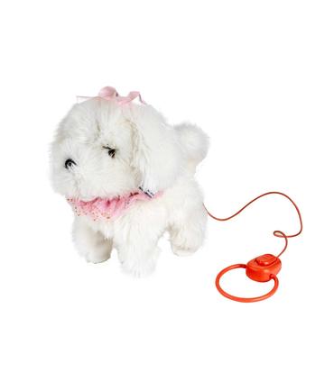 perrito-blanquito-paseos