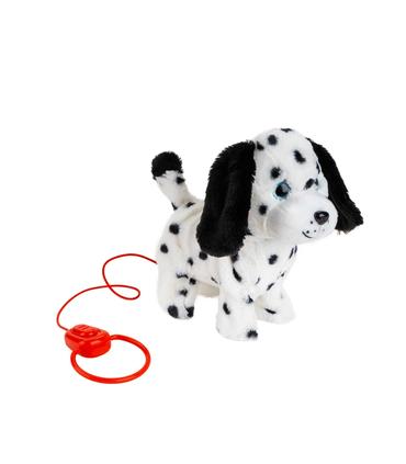 cachorros-paseos-stdo