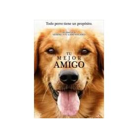 tu-mejor-amigo-br-reacondicionado