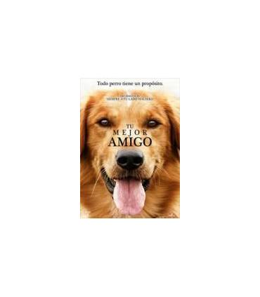 tu-mejor-amigo-br-reacondicionado