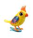 digibirds-pack-de-1-surtido