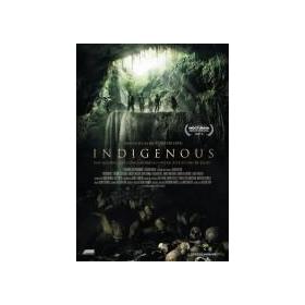 indigenous-dvd-reacondicionado