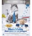 ESTE GATO PELIGRO SIETE VIDAS (DVD) -Reacondicionado