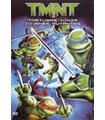 TORTUGAS NINJA JOVENES MUTANTES DVD -Reacondicionado