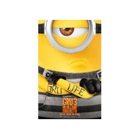 gru-3-mi-villano-favorito-br-reacondicionado