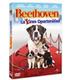 bethoven-15-dvd-reacondicionado