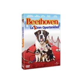 bethoven-15-dvd-reacondicionado
