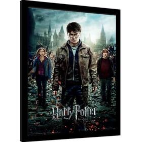 cuadro-3d-harry-potter-and-the-deathly-hallows-part-2