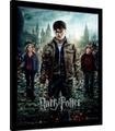 Cuadro 3D Harry Potter and the deathly hallows Part 2