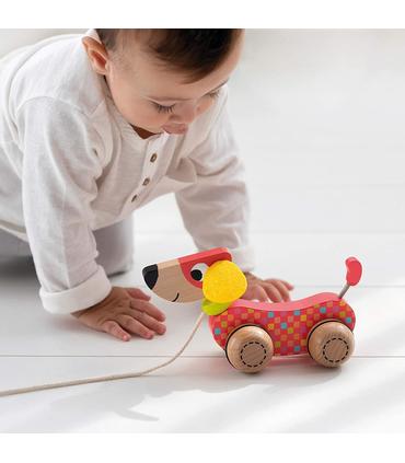 arrastre-perro-goula