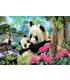 puzzle-osos-panda-1000pz