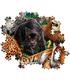 puzzle-animales-salvajes-500pz