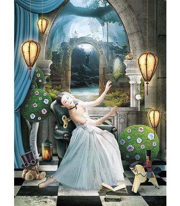 puzzle-coppelia-500pz