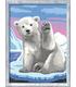 creart-serie-d-hola-oso-polar