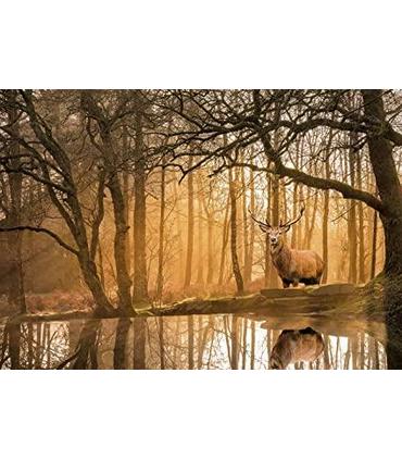 puzzle-restling-silence-500-pz