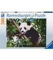 Puzzle Oso Panda 500 Piezas