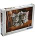 puzzle-kittens-500-pz
