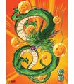 Poster Dragon Ball Shenron