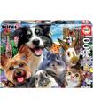 Puzzle Amigos Del Patio 'selfies' 500Pz