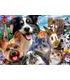 puzzle-amigos-del-patio-selfies-500pz