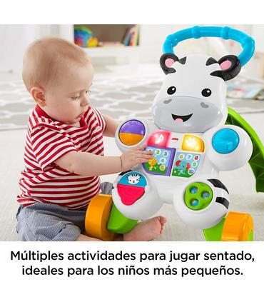 cebra-parlanchina-primeros-pasos