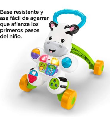 cebra-parlanchina-primeros-pasos