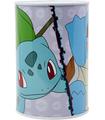 Hucha Metalica Pokemon Dition
