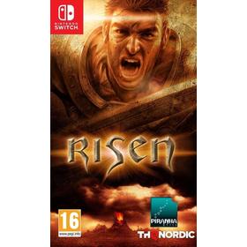 risen-switch